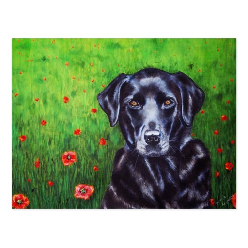 Labrador Retriever Dog Art - Poppy Post Card