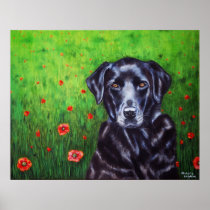 Labrador Retriever Dog Art - Poppy Posters