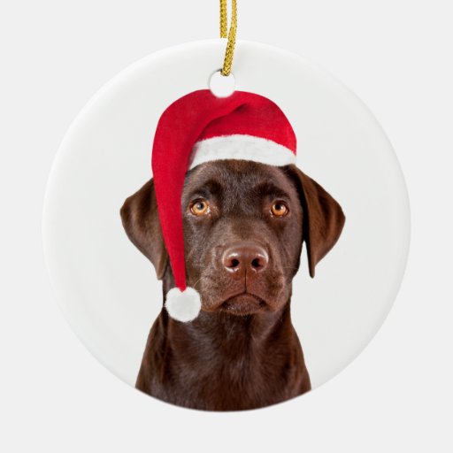 labrador retriever dog christmas tree ornament zazzle labrador retriever dog christmas tree ornament zazzle