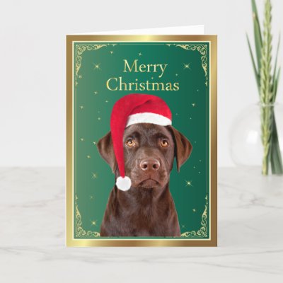 Labrador Retriever dog merry christmas card