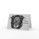 Labrador Retriever Dog Photo Birthday Card