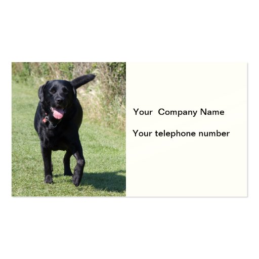 Labrador Retriever dog photo custom  business card (front side)