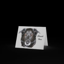 Labrador Retriever Dog Photo Thank You Card