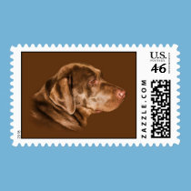 Labrador Retriever Dog Postage Stamp stamps