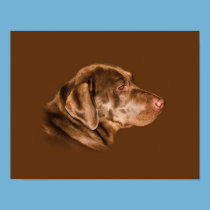 Labrador Retriever Dog Print posters