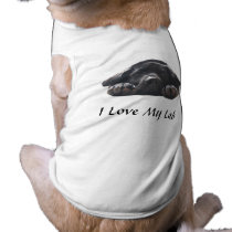 Labrador Retriever Dog T-Shirt pet clothing by normagolden Labrador Retriever Dog T-Shirt pet clothing
