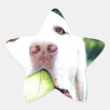Labrador Retriever Dog Tennis Ball Star Sticker