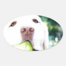 Labrador Retriever Dog Tennis Ball Stickers