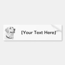 Labrador Retriever Drawing Bumper Sticker