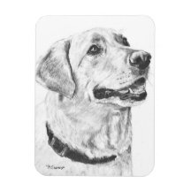 Labrador Retriever Drawing Flexible Magnet
