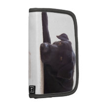 labrador retriever folio planner