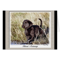 Labrador Retriever Gifts Cards