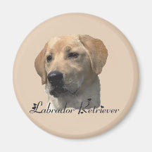 Labrador Retriever Gifts Magnet
