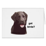 Labrador Retriever - got birds? Card