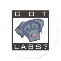 Labrador Retriever Got Labs? stickers