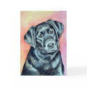Labrador Retriever Greeting Cards