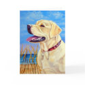 Labrador Retriever Greeting Cards