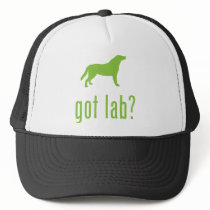 Labrador Retriever hats by Pawdboy Labrador Retriever hats