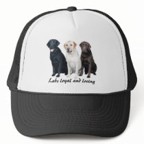 Labrador Retriever Hat