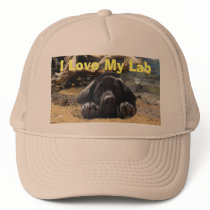 Labrador Retriever Hat Beach by normagolden Labrador Retriever Hat Beach
