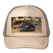 Labrador Retriever Hat Beach