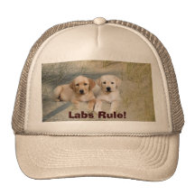 Labrador Retriever Hat Pups On Beach