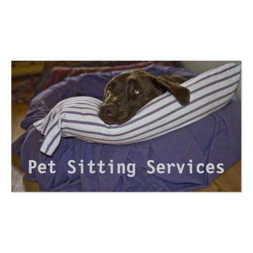 Labrador Retriever In Bed Business Card Template (front side)