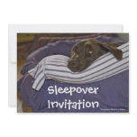 Labrador Retriever In Bed Personalized Invites