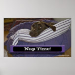 Labrador Retriever In Bed Print