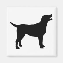 Labrador Retriever (in black) Magnets