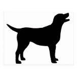 Labrador Retriever (in black) Postcards