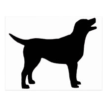 Labrador Retriever (in black) Postcards