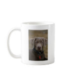 Labrador Retriever In Rare Light Silver Coffee Mug