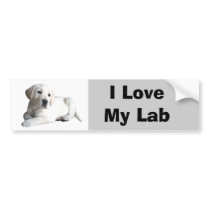 Labrador Retriever Love Bumper Sticker bumper stickers by normagolden Labrador Retriever Love Bumper Sticker bumper stickers