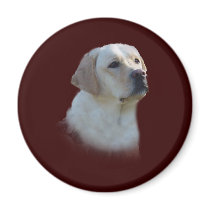 Labrador Retriever Magnet by normagolden Labrador Retriever Magnet
