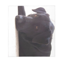 labrador retriever memo note pads
