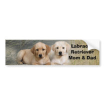 Labrador Retriever Mom & Dad Bumper Sticker bumper stickers by normagolden Labrador Retriever Mom & Dad Bumper Sticker bumper stickers