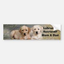 Labrador Retriever Mom & Dad Bumper Sticker