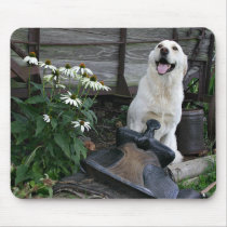 labrador retriever mouse pad mousepads