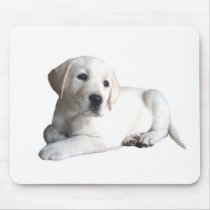Labrador Retriever Mousepad by normagolden Labrador Retriever Mousepad