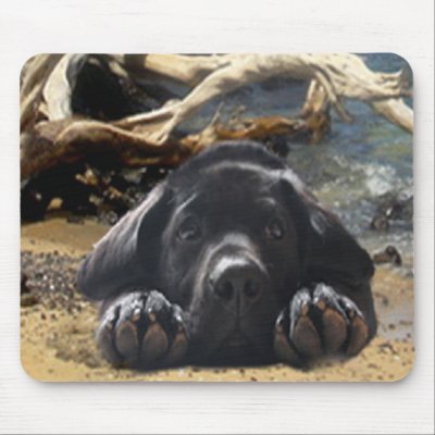 Labrador Retriever Mousepad by normagolden