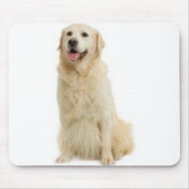 Labrador Retriever Mousepad mousepads