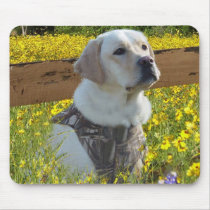 Labrador Retriever Mousepad Fence by normagolden Labrador Retriever Mousepad Fence