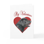 Labrador Retriever My Valentine Card