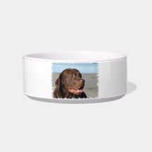 Labrador Retriever Pet Bowl