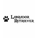 Labrador Retriever (pirate style w/ pawprint) t-shirts by dogsandhorses Labrador Retriever (pirate style w/ pawprint) t-shirts