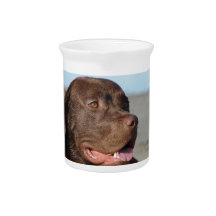 Labrador Retriever Pitcher