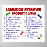 LABRADOR RETRIEVER PL2 POSTERS