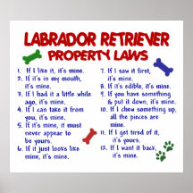 LABRADOR RETRIEVER PL2 POSTERS