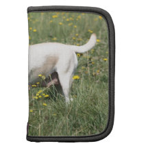 Labrador Retriever Planners